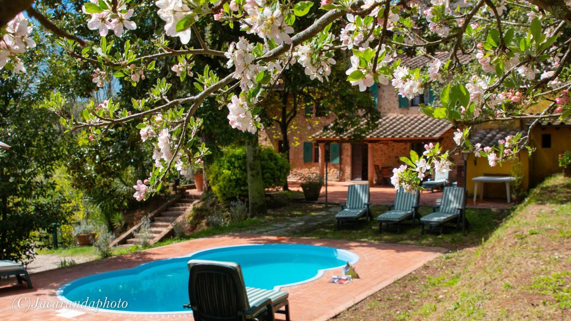Villa La Pieve Камайоре Екстер'єр фото