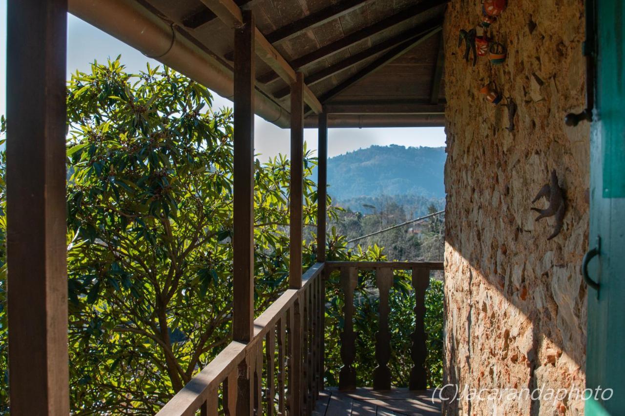 Villa La Pieve Камайоре Екстер'єр фото